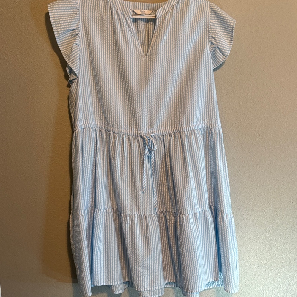 Time and Tru Light Blue Striped Womens Dress